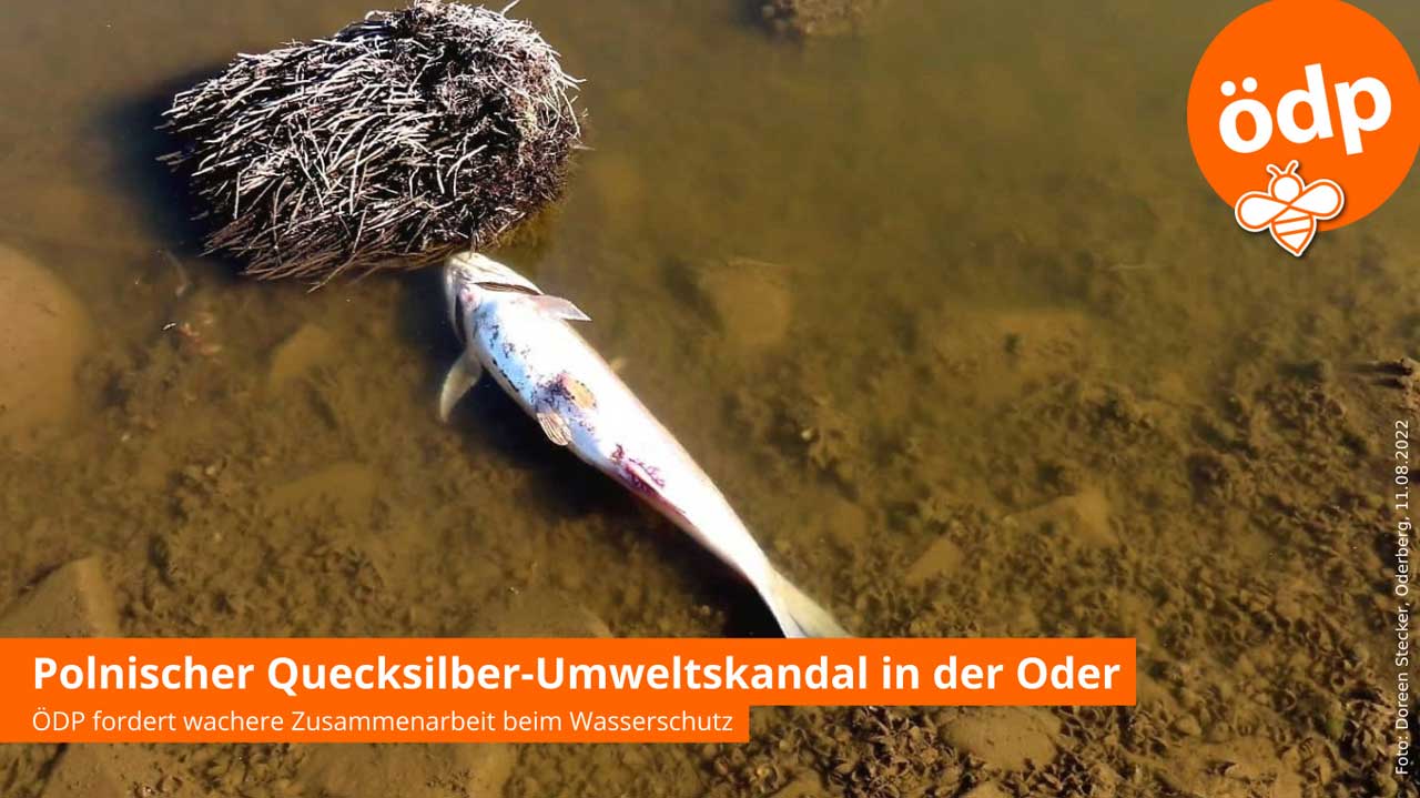 Plakat zeigt toten Fisch